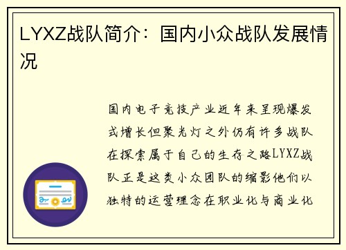 LYXZ战队简介：国内小众战队发展情况